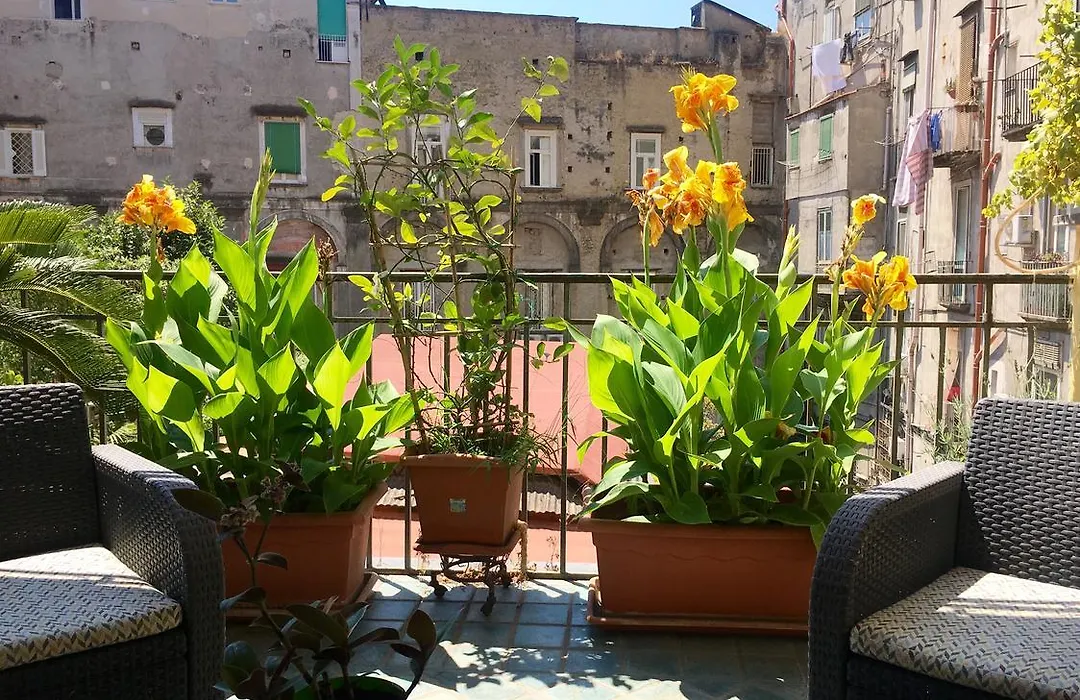 B&B Bellini-1